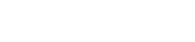 巍智